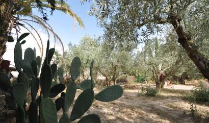 Bestaande woningen - Landelijk huis - Pinoso
