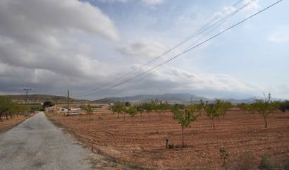 Bestaande woningen - Landelijk huis - Pinoso