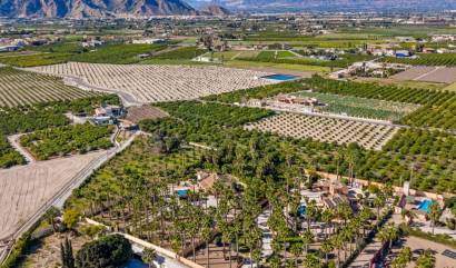 Bestaande woningen - Landelijk huis - Rafal