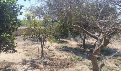 Bestaande woningen - Landelijk huis - Rojales - Ciudad Quesada