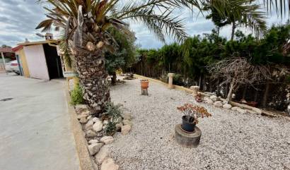 Bestaande woningen - Landelijk huis - San Fulgencio - La Marina