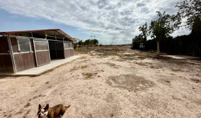Bestaande woningen - Landelijk huis - San Fulgencio - La Marina