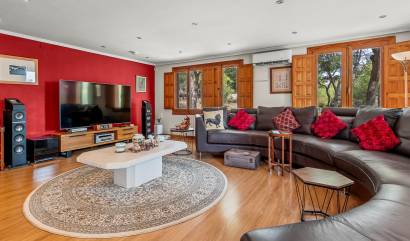 Bestaande woningen - Landelijk huis - Torremendo