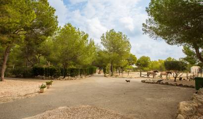 Bestaande woningen - Landelijk huis - Torremendo
