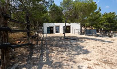 Bestaande woningen - Landelijk huis - Torremendo