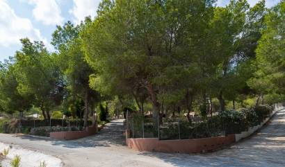 Bestaande woningen - Landelijk huis - Torremendo