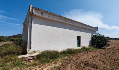 Bestaande woningen - Landelijk huis - Yecla