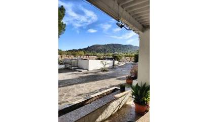 Bestaande woningen - Landelijk huis - Yecla