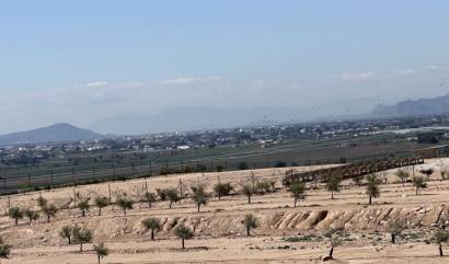 Bestaande woningen -  - San Fulgencio - La Marina