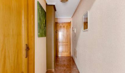 Bestaande woningen -  - Torrevieja - Estacion de autobuses