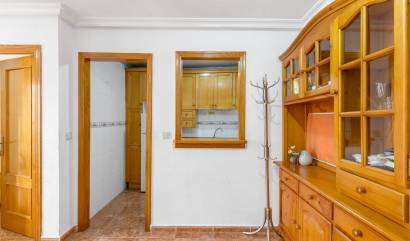 Bestaande woningen -  - Torrevieja - Estacion de autobuses