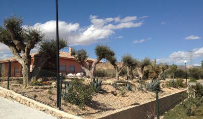 Bestaande woningen - Villa - Abanilla