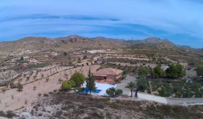 Bestaande woningen - Villa - Abanilla