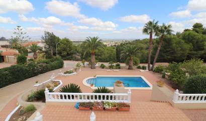 Bestaande woningen - Villa - Algorfa