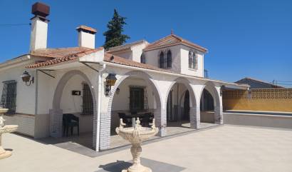 Bestaande woningen - Villa - Canadas de San Pedro