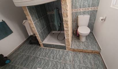 Bestaande woningen - Villa - Canadas de San Pedro