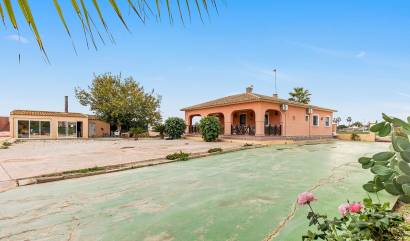 Bestaande woningen - Villa - Dolores - Vereda del pozo