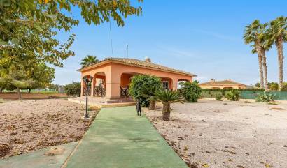 Bestaande woningen - Villa - Dolores - Vereda del pozo