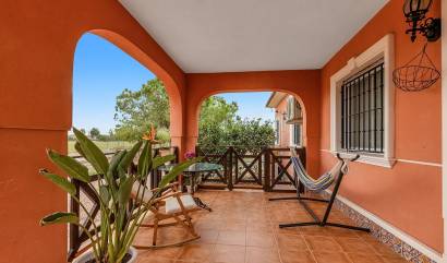 Bestaande woningen - Villa - Dolores - Vereda del pozo