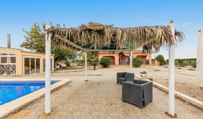 Bestaande woningen - Villa - Dolores - Vereda del pozo