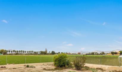 Bestaande woningen - Villa - Dolores - Vereda del pozo