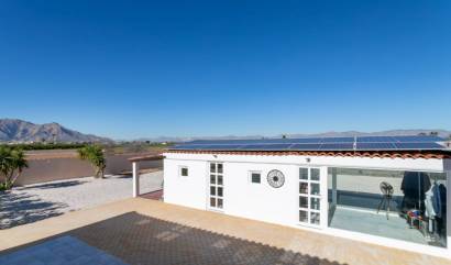 Bestaande woningen - Villa - El Mudamiento