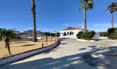 Bestaande woningen - Villa - El Mudamiento