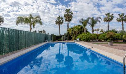 Bestaande woningen - Villa - Elche - La Hoya
