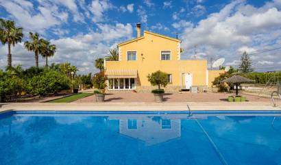 Bestaande woningen - Villa - Elche - La Hoya