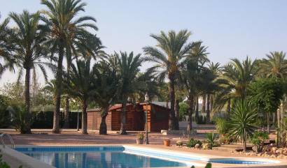 Bestaande woningen - Villa - Elche