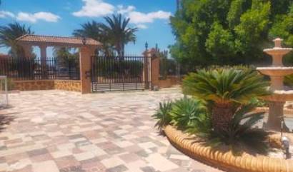 Bestaande woningen - Villa - Elche