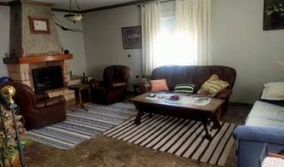 Bestaande woningen - Villa - Elche