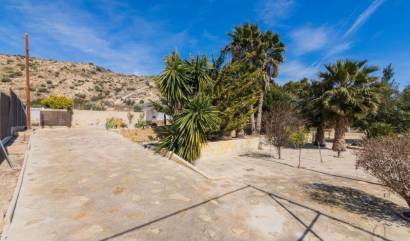 Bestaande woningen - Villa - Elche