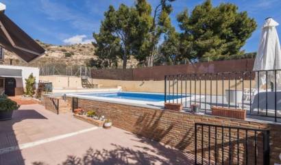 Bestaande woningen - Villa - Elche