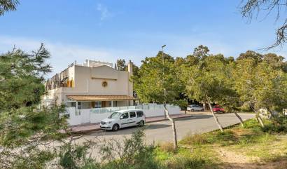 Bestaande woningen - Villa - Guardamar del Segura - Urbanizaciones