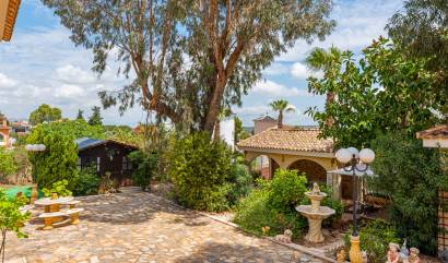 Bestaande woningen - Villa - Jacarilla