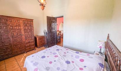 Bestaande woningen - Villa - Los Balcones