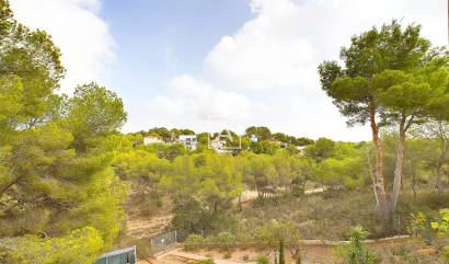 Bestaande woningen - Villa - Pinar de Campoverde