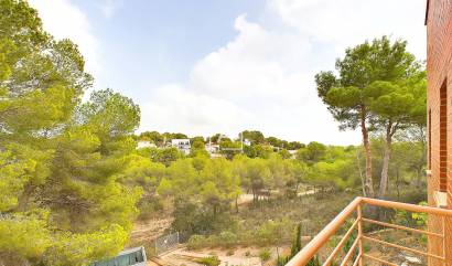 Bestaande woningen - Villa - Pinar de Campoverde