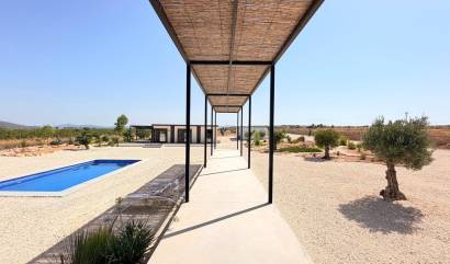 Bestaande woningen - Villa - Pinoso