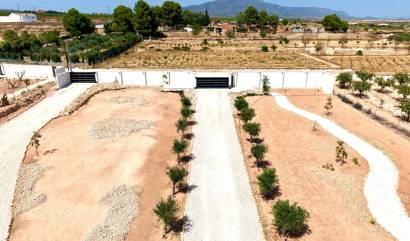 Bestaande woningen - Villa - Pinoso