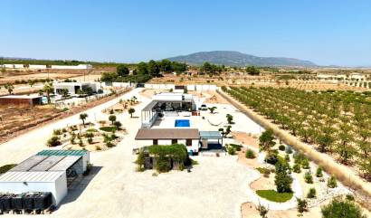 Bestaande woningen - Villa - Pinoso