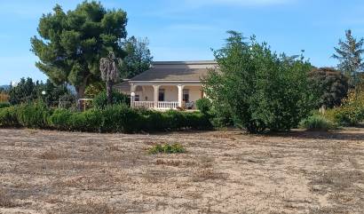 Bestaande woningen - Villa - Revuelta de Yecla