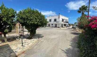 Bestaande woningen - Villa - San Fulgencio - La Marina