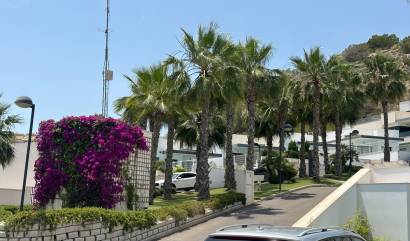 Bestaande woningen - Villa - San Miguel de Salinas - San Miguel Salinas