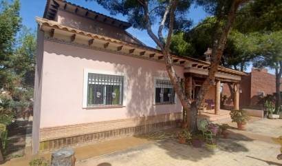 Bestaande woningen - Villa - San Miguel de Salinas