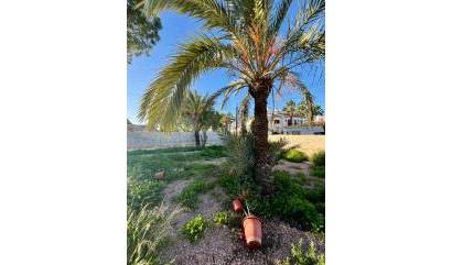 Bestaande woningen - Villa - Torrevieja - Aguas Nuevas