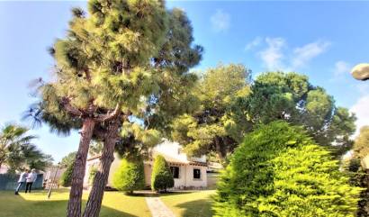 Bestaande woningen - Villa - Torrevieja