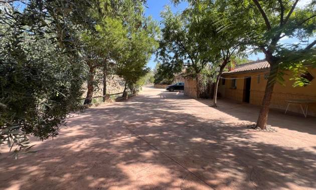 Comercial - Venta - Abanilla - Abanilla