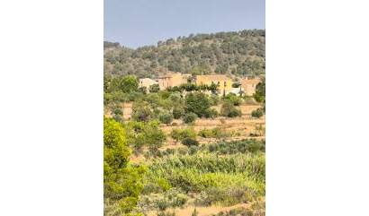 Commercial - Sale - Casas del Senor - INM-89120